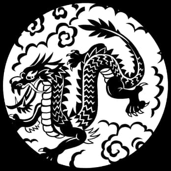 The Cloud Dragon School of Tai Chi Chuan